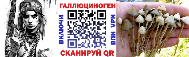 Галлюциногенные грибы мухоморы  hydra рабочий сайт  Лиски  дарнет шоп 